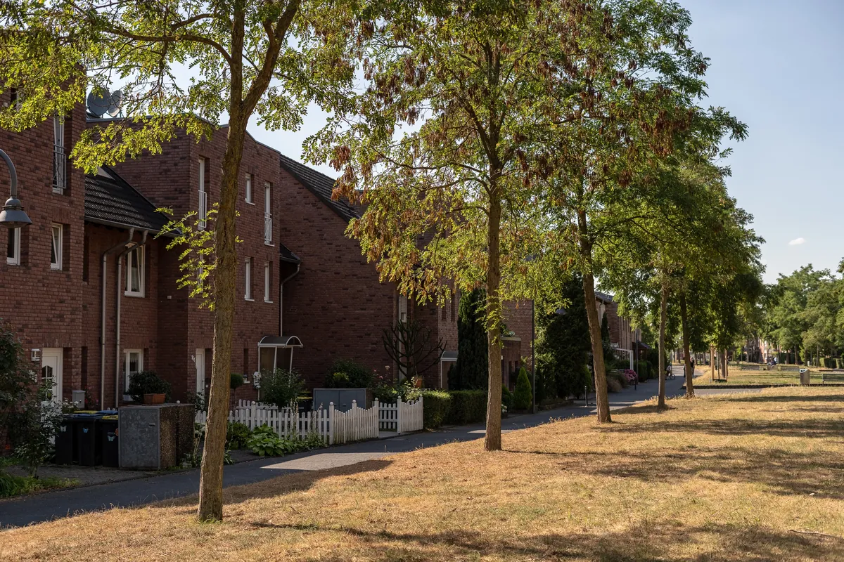 Wohnsiedlung an der Langenbergstraße in Köln Blumenberg