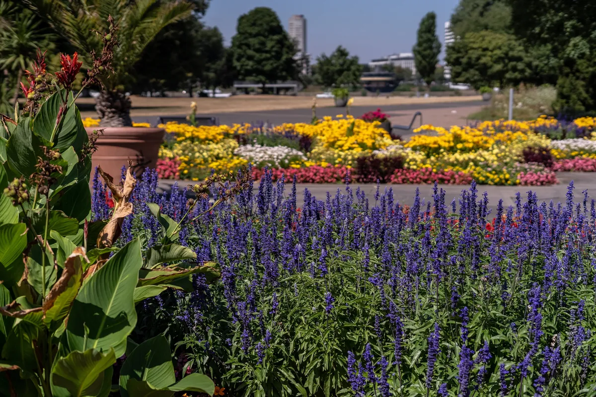 Rheinpark in Köln Deutz