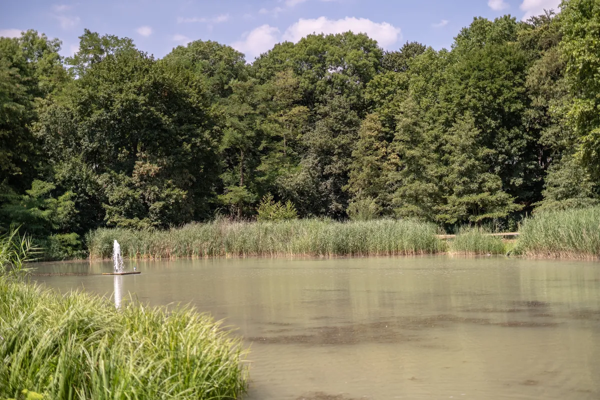 Adenauer Weiher in Köln Klettenberg