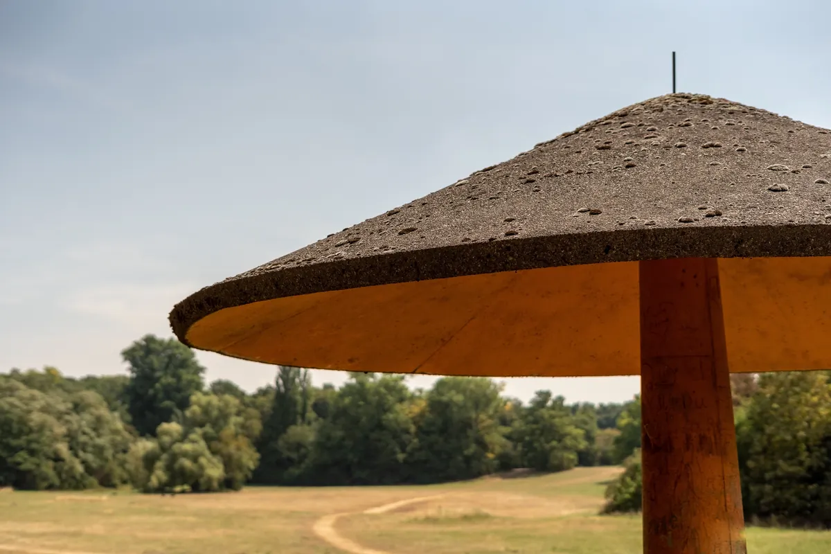 Wetterpilz am Robinienweg in Köln Raderthal