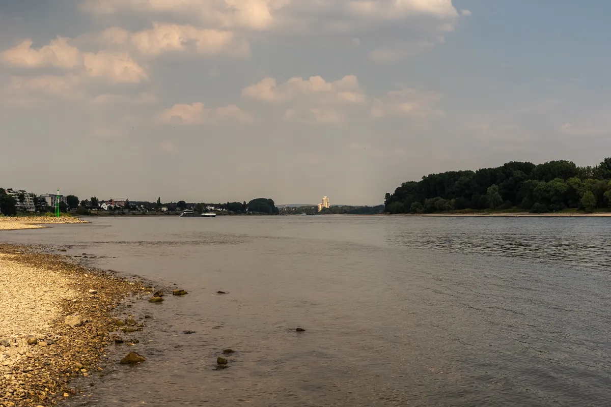 Rhein in Köln Sürth